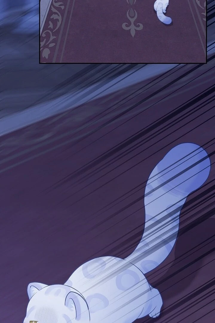 76461005 720 1080 73290